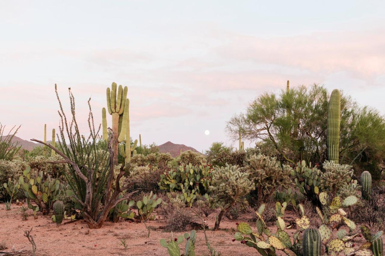 The Jth Tucson Hotel Avra Luaran gambar