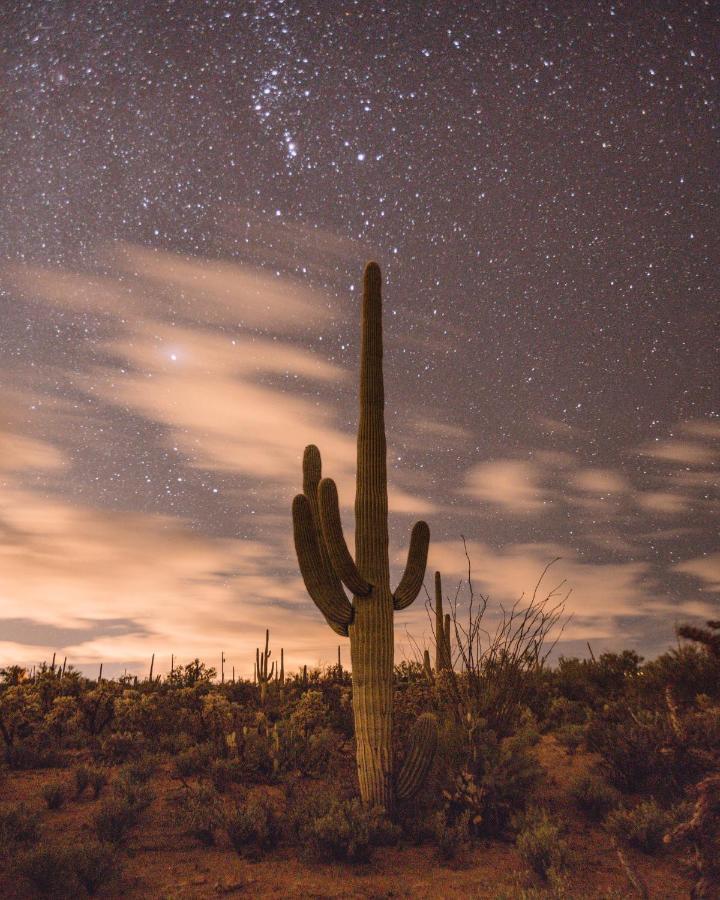 The Jth Tucson Hotel Avra Luaran gambar